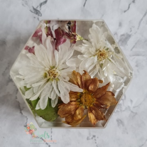 181338706_3033630830217700_2843197981296501384_n