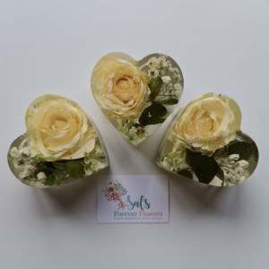 182319239_3033629510217832_8577336963764924517_n